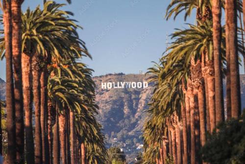 Snazzy 3BR Apt Hollywood with Pool & Spa