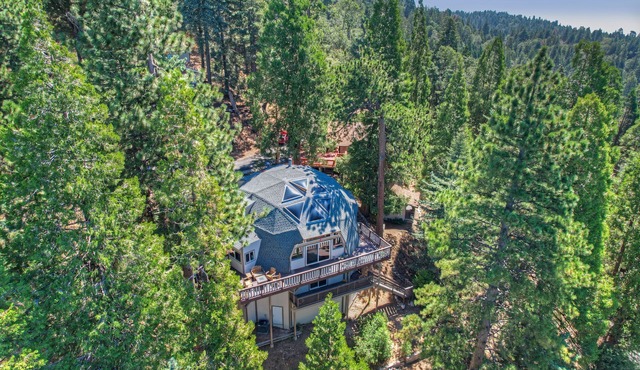 Stylish and Unique Mid-Century Mountain Escape. Pet-Friendly!