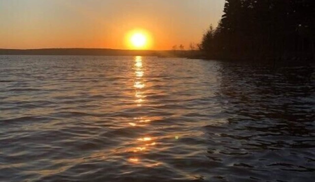 The Great Moose in Stunning Maine Swim, Fish & Kayak