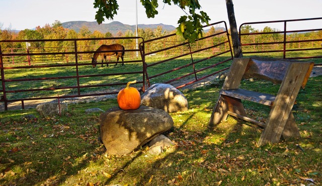 The Tortoise and The Mare self-keeping Inn~Peaceful or Playful~it's up to YOU!
