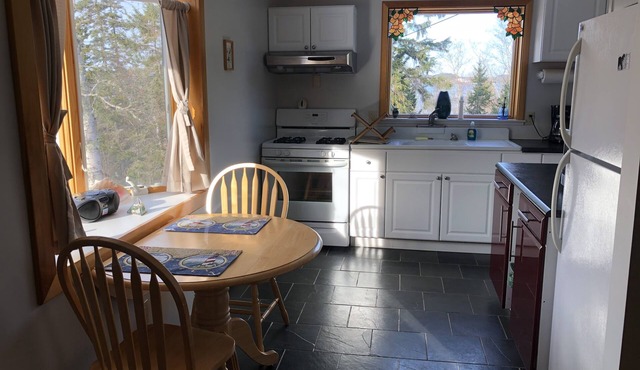 Updated, Quiet Location, deck, trees, one bedroom plus futon, Walk To Downtown.
