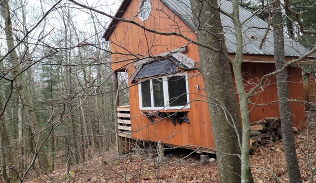 Vana Kuti-cabin in the woods