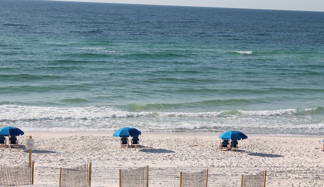 We are filling up fast! Make your beach reservations now