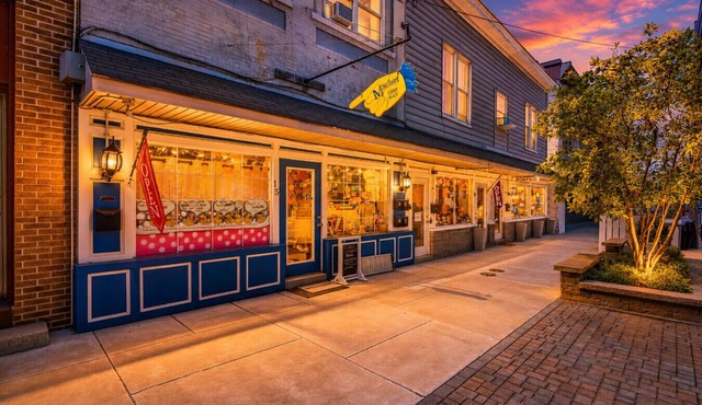 Whimsical Haven By The Springs - Wifi | Walk to Everything