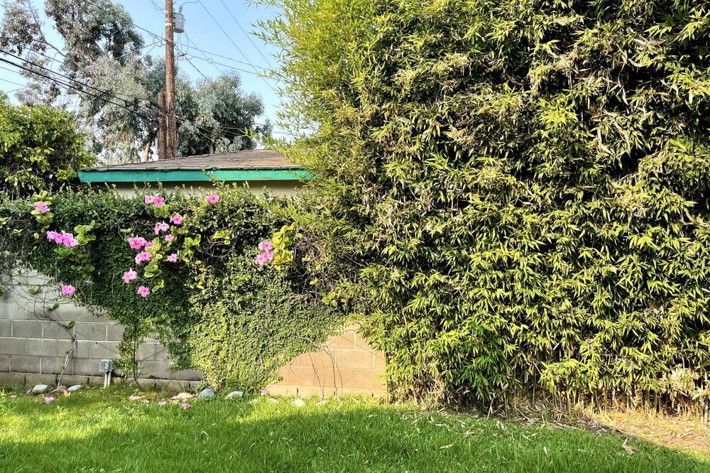 Photo of Others in Ladera Heights