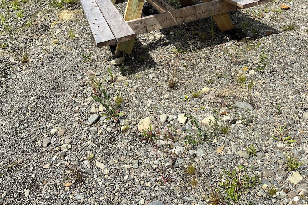 Photo of Outdoor in Abbot