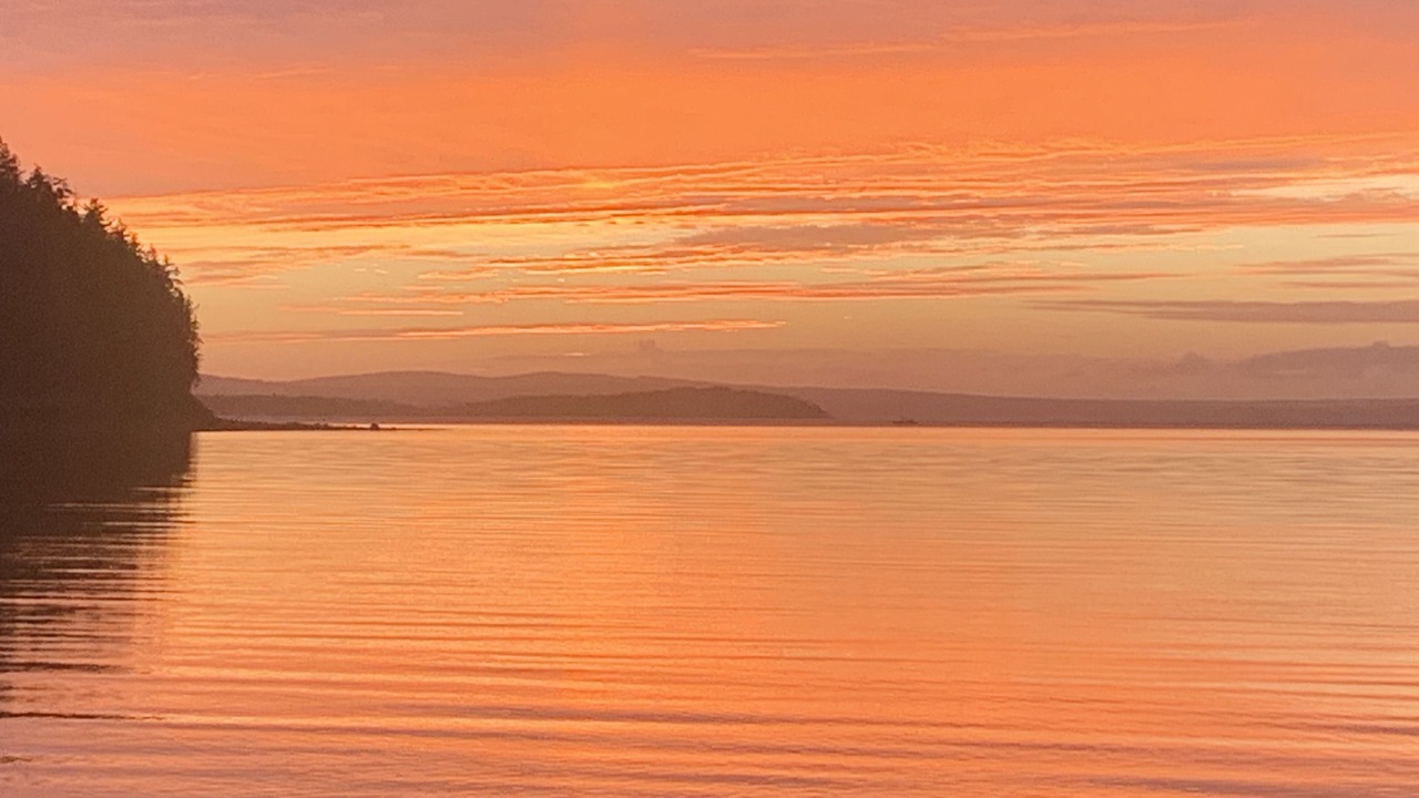 Photo of Others in Castine