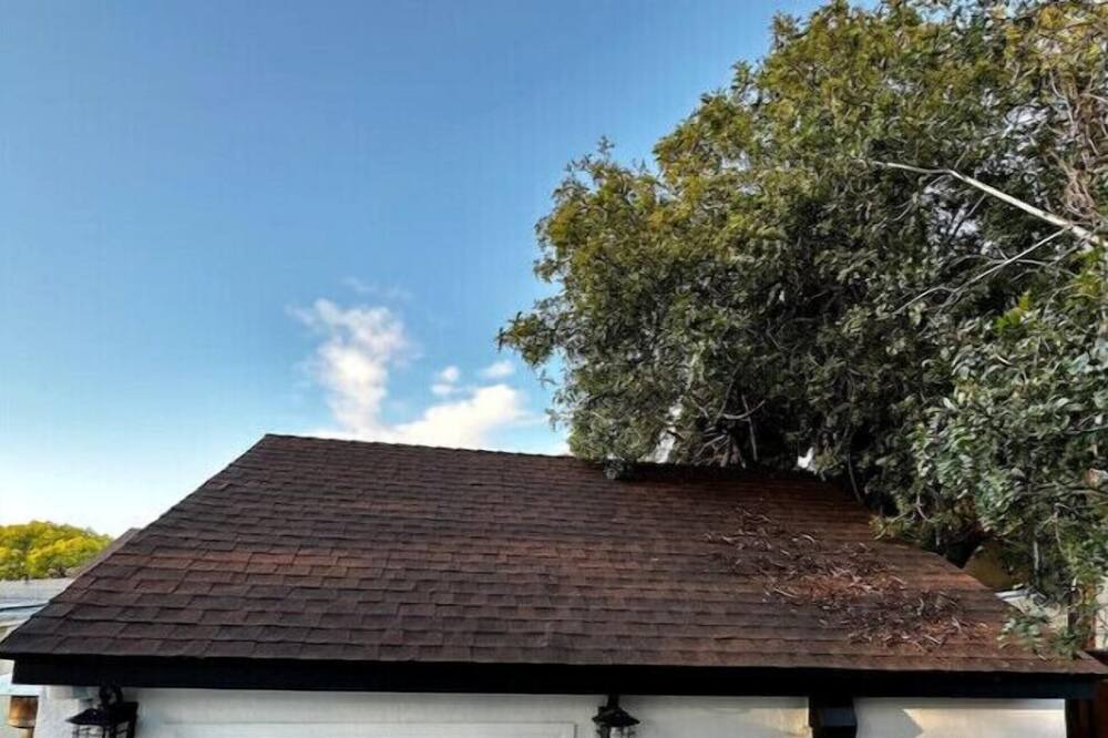 Photo of Outdoor in West Los Angeles
