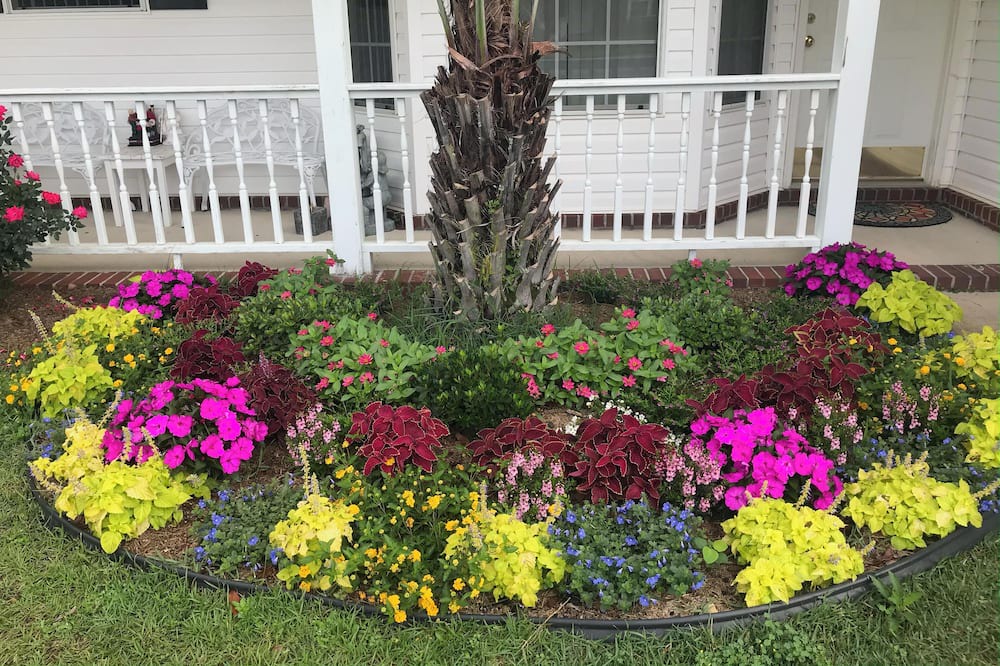 Photo of Outdoor in Bellview