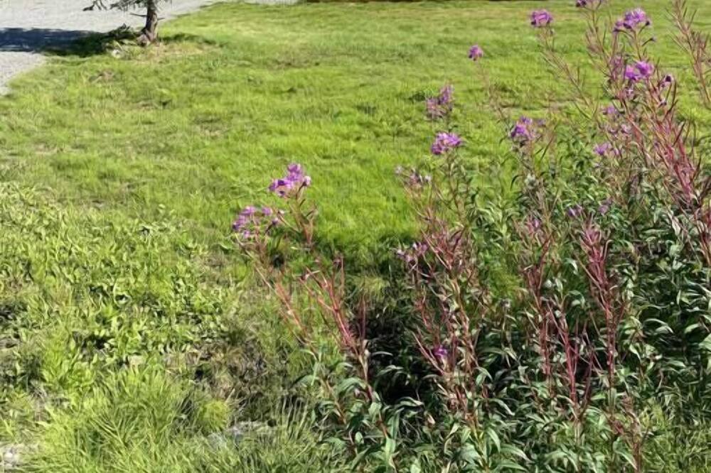 Photo of Others in Diamond Ridge