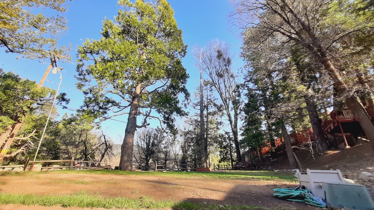 Photo of Outdoor in Running Springs