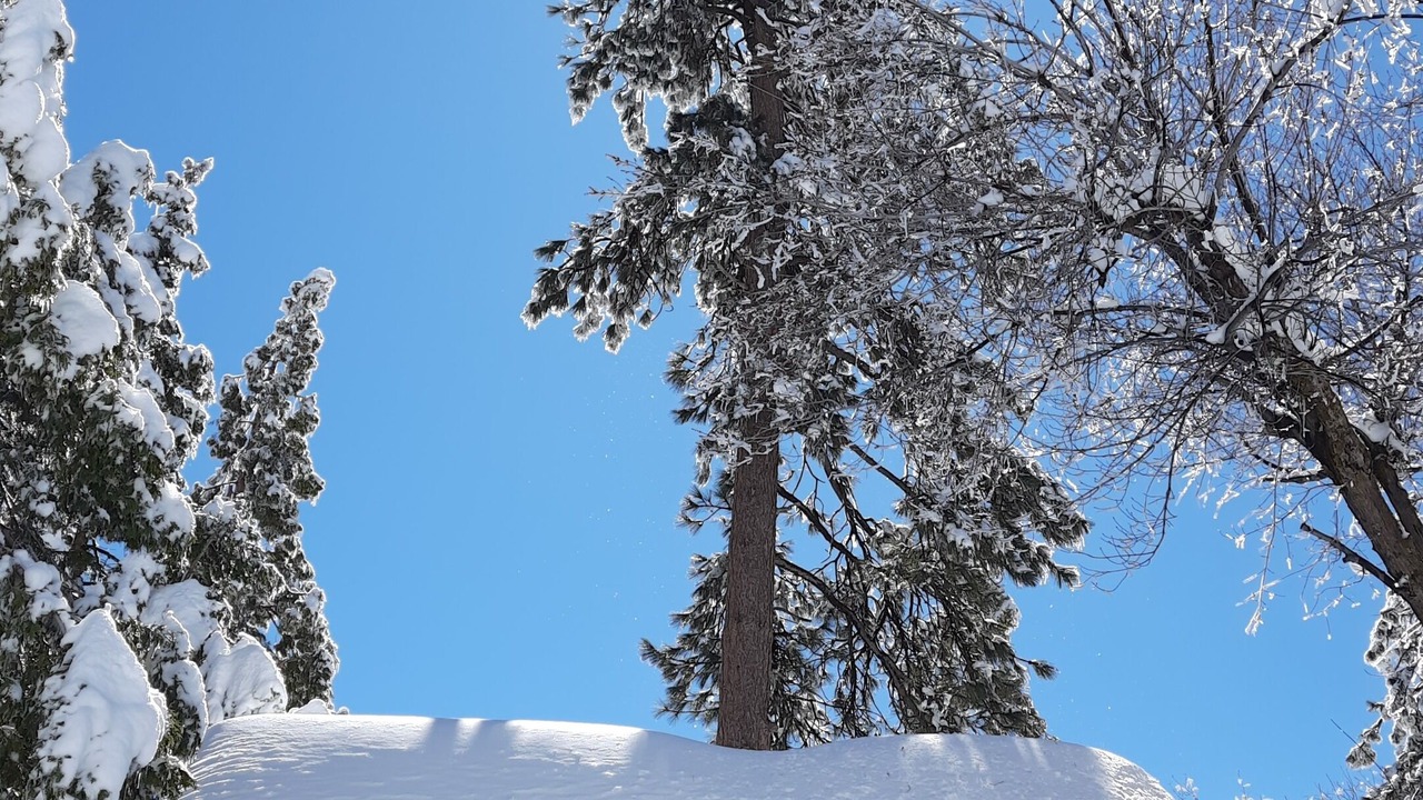 Photo of Outdoor in Running Springs