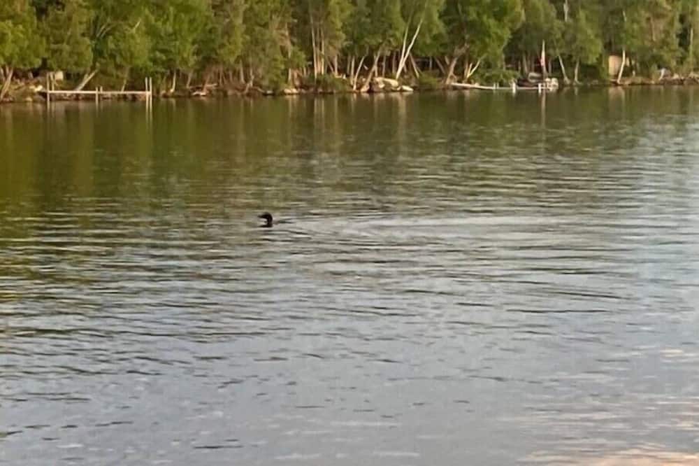 Photo of Outdoor in Dexter