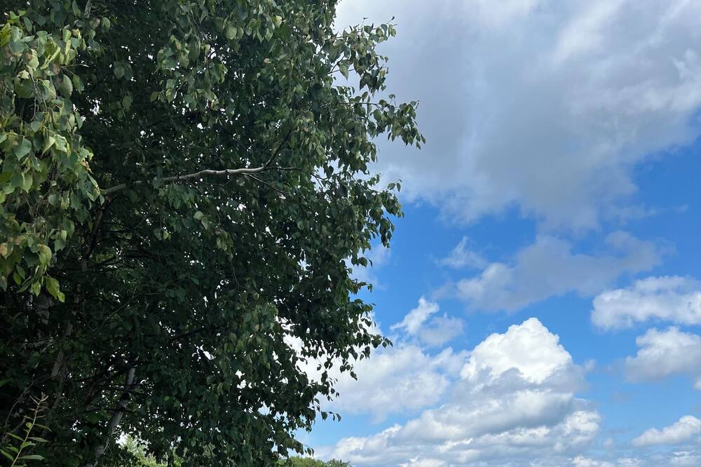 Photo of Outdoor in Greenville Junction