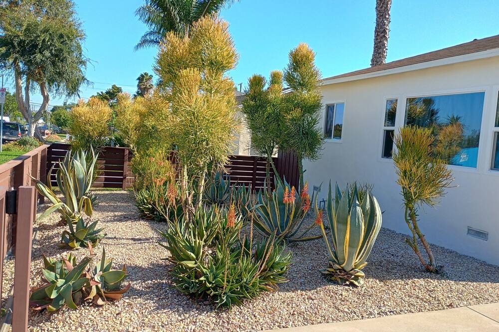 Photo of Outdoor in Culver - West
