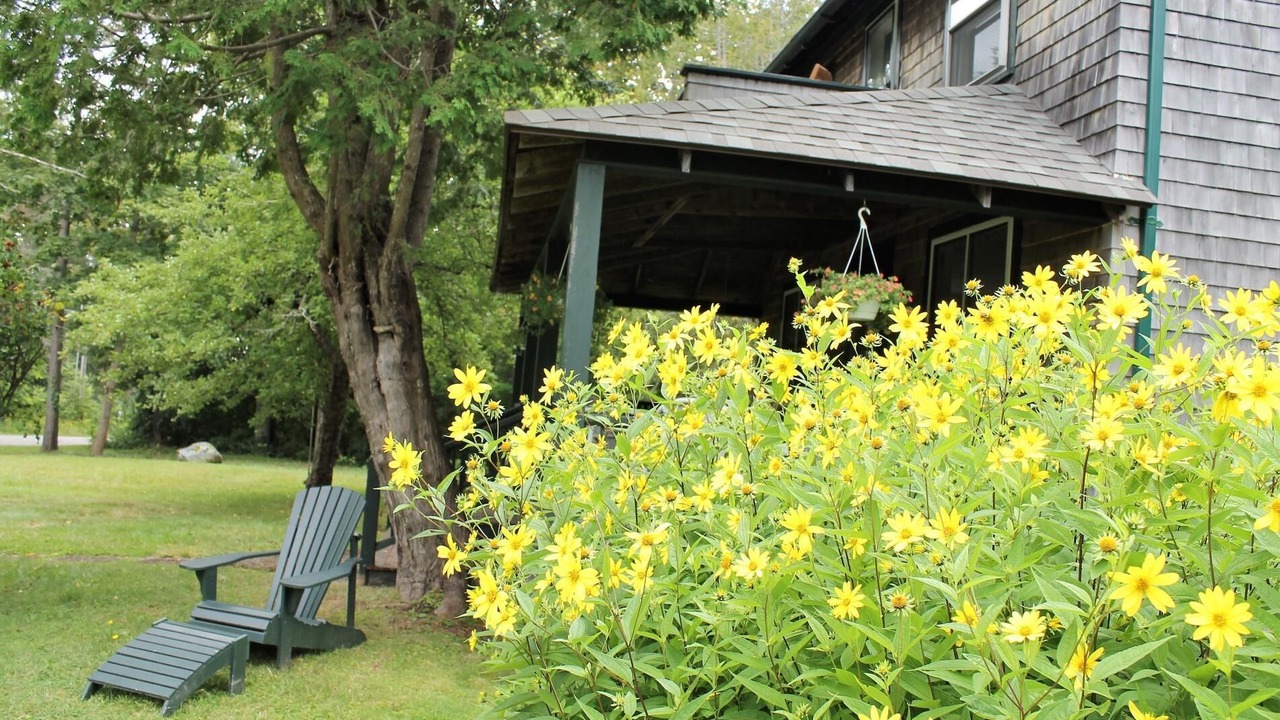 Photo of Outdoor in Hancock Point