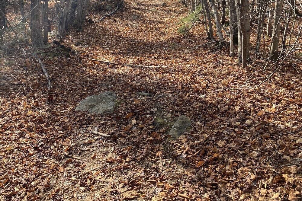 Photo of Outdoor in Rangeley