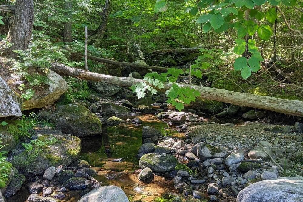 Photo of Outdoor in Buckfield