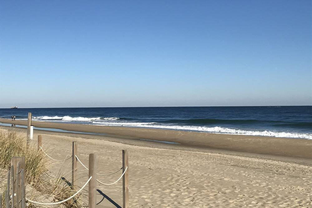 Photo of Others in North Ocean City