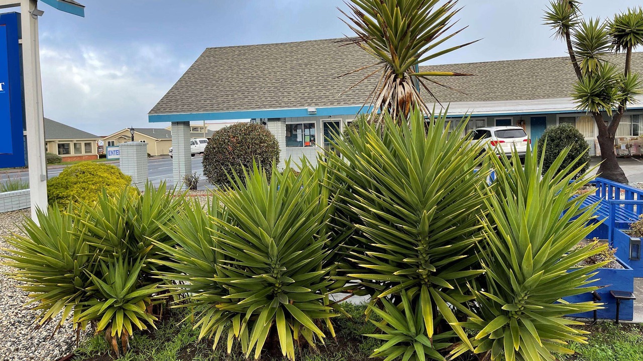 Photo of Outdoor in Fort Bragg