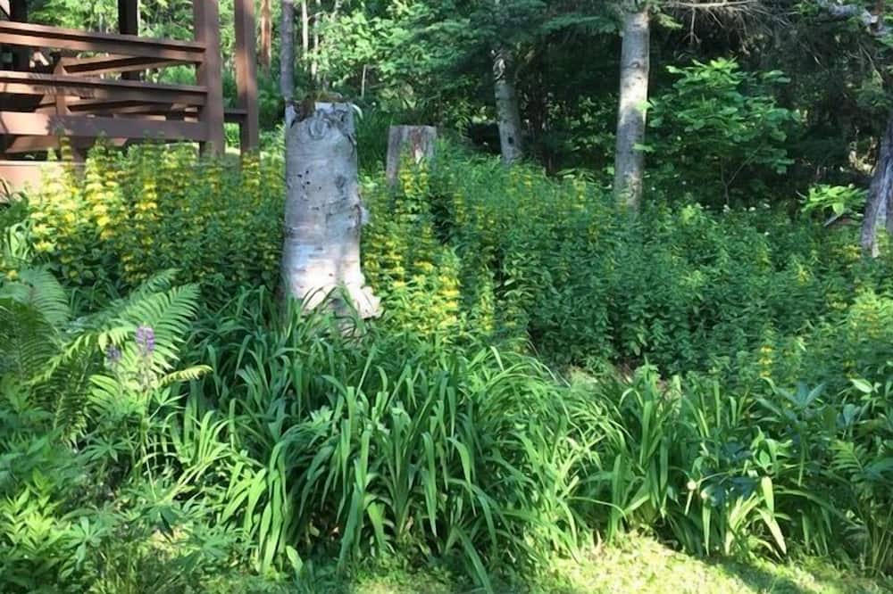 Photo of Others in Rangeley