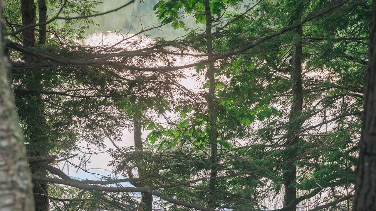 Photo of Outdoor in Liberty