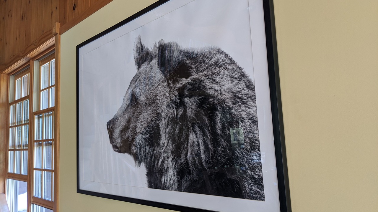 Photo of Others in Carrabassett Valley