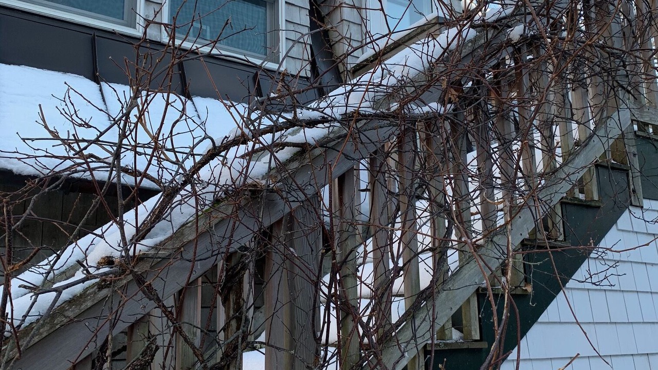 Photo of Outdoor in Orland