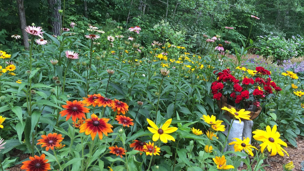 Photo of Outdoor in Orland