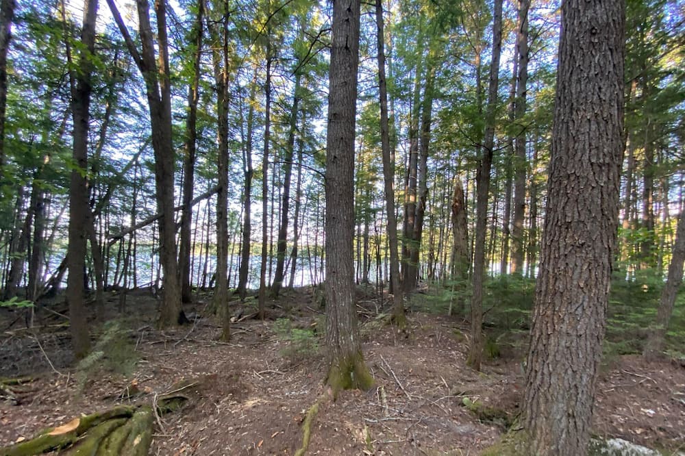 Photo of Outdoor in Dover-Foxcroft