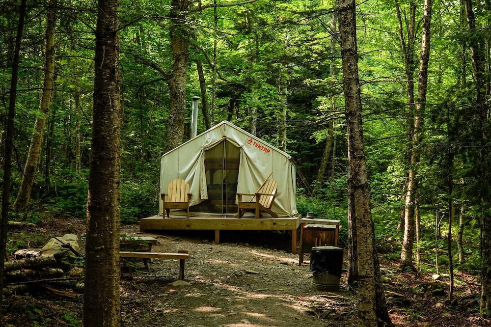 Photo of Others in Rangeley Plantation