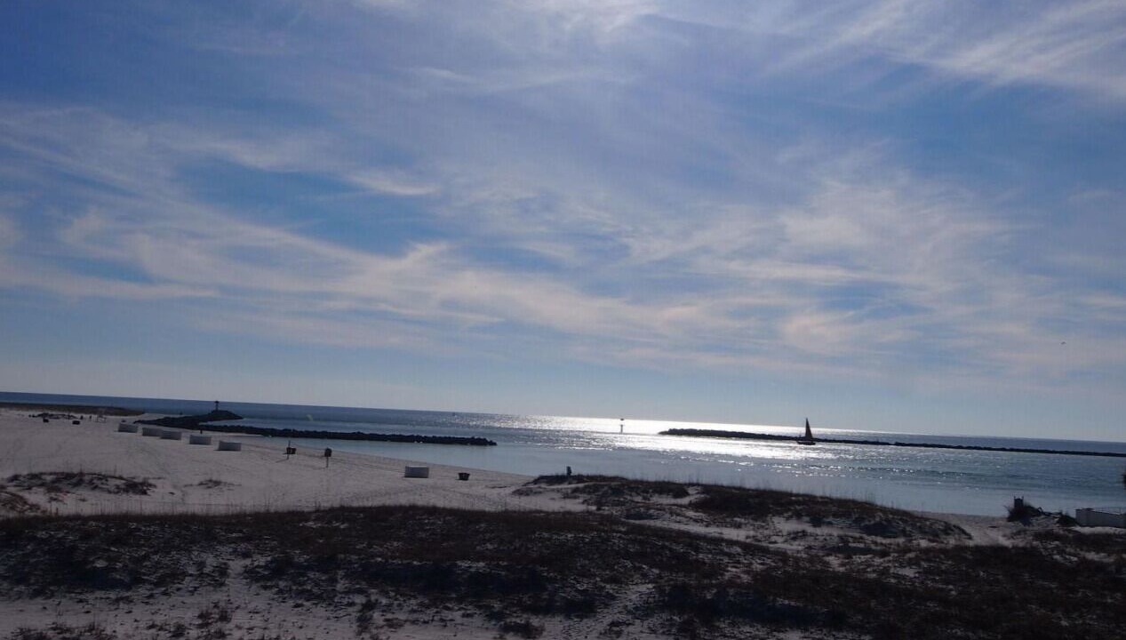 Photo of Others in Holiday Isle
