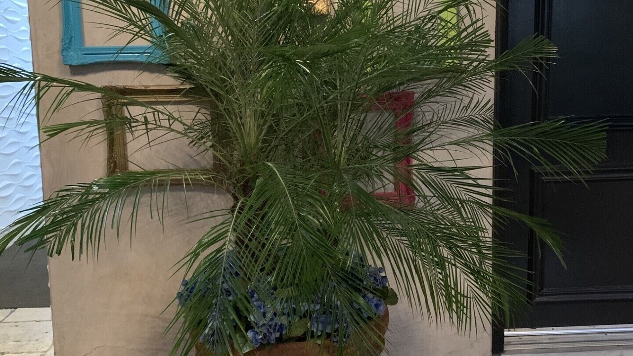 Photo of Outdoor in West Los Angeles