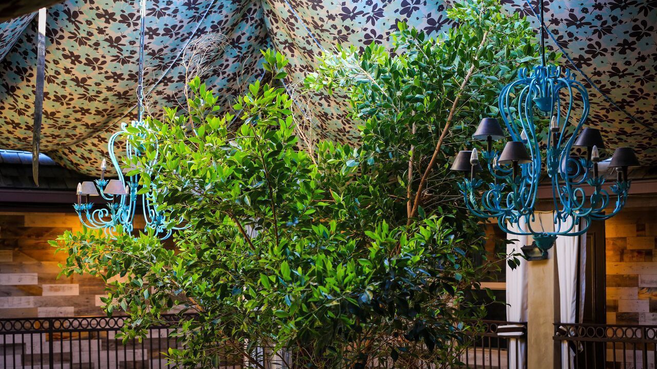 Photo of Patio Balcony in West Los Angeles