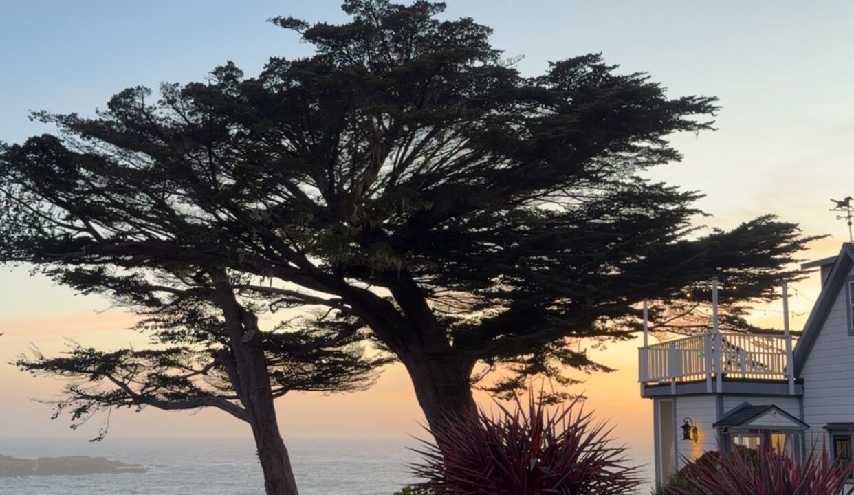 Photo of Outdoor in Mendocino