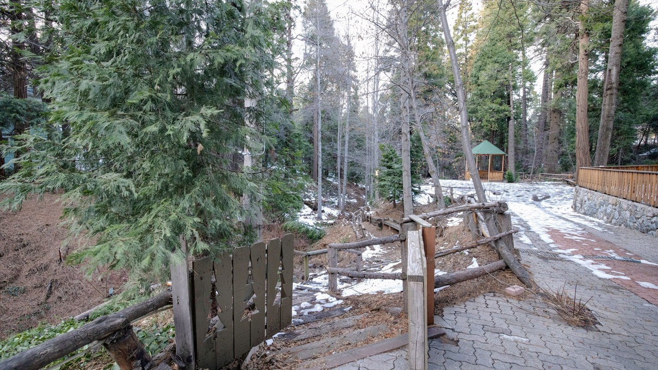 Photo of Outdoor in Lake Arrowhead
