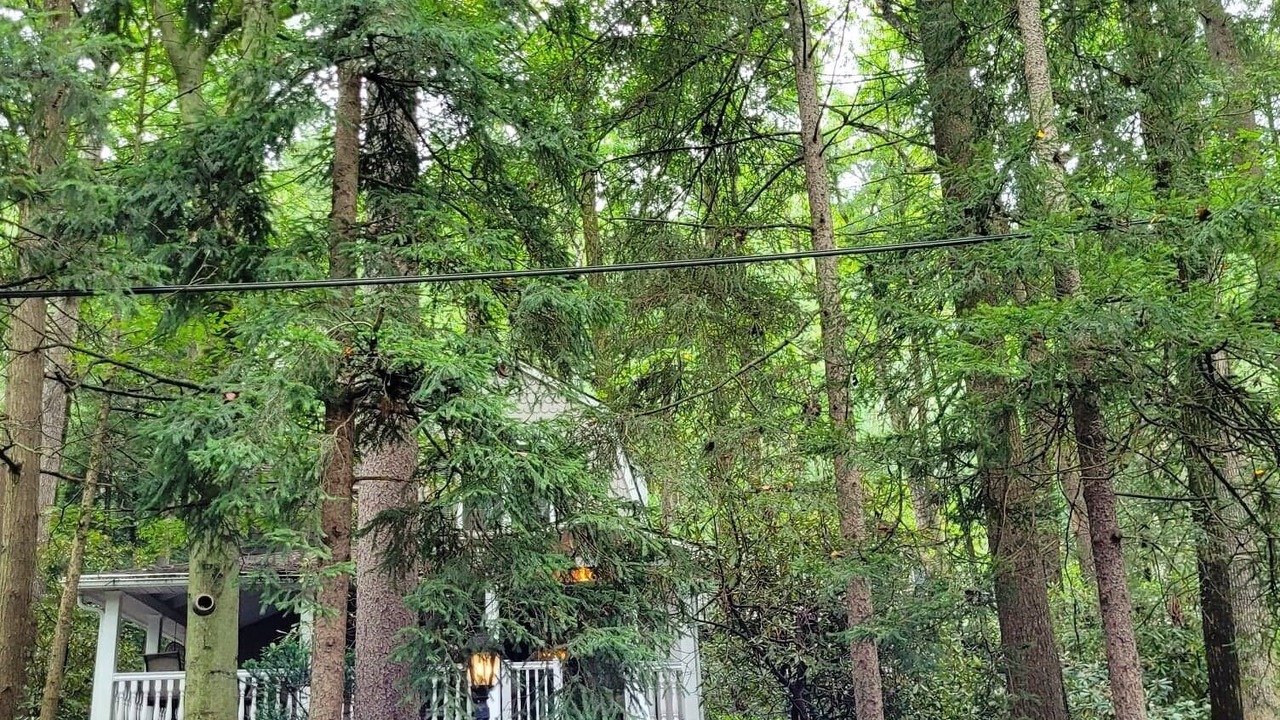 Photo of Outdoor in Mount Gretna