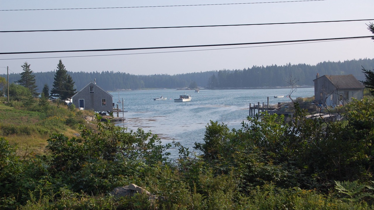 Photo of Others in Vinalhaven