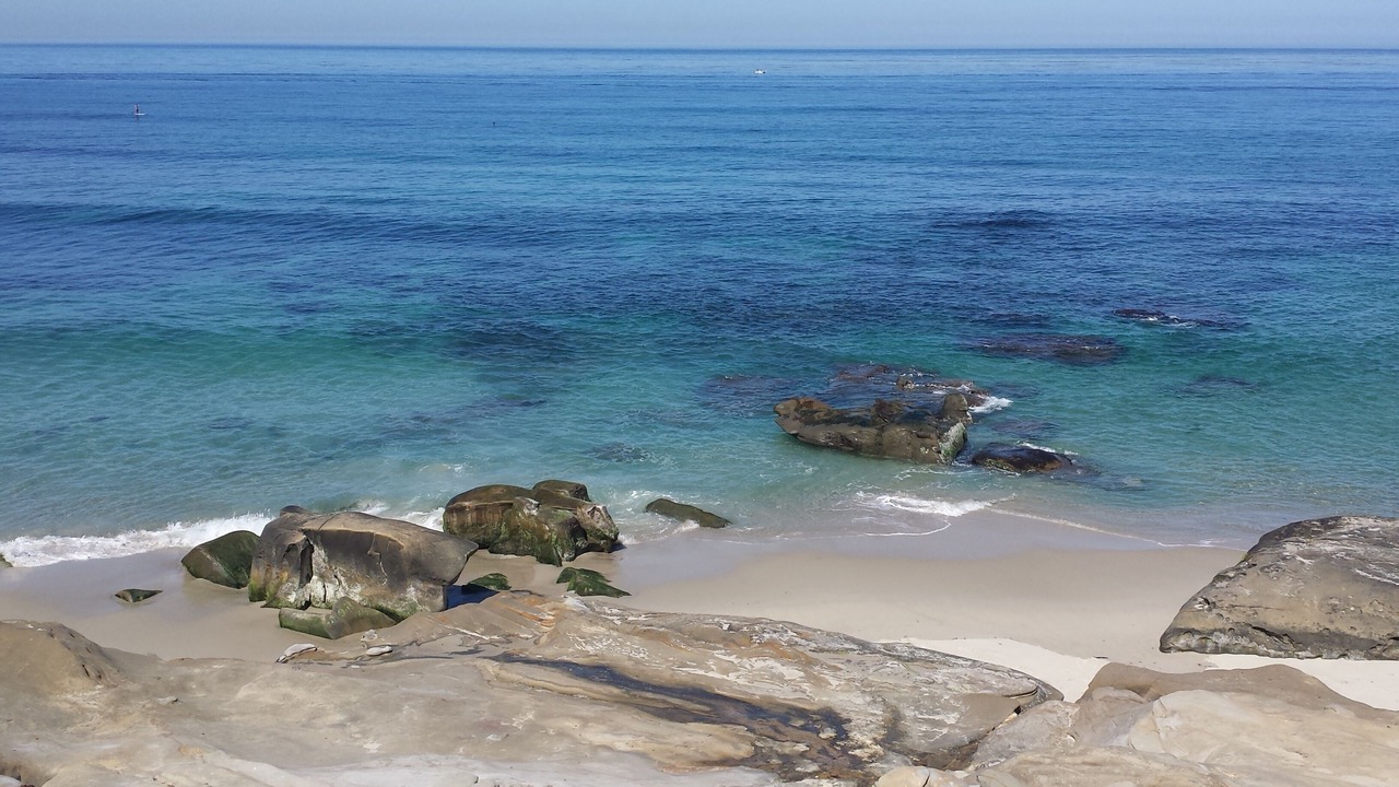 Photo of Others in Beach Barber Tract