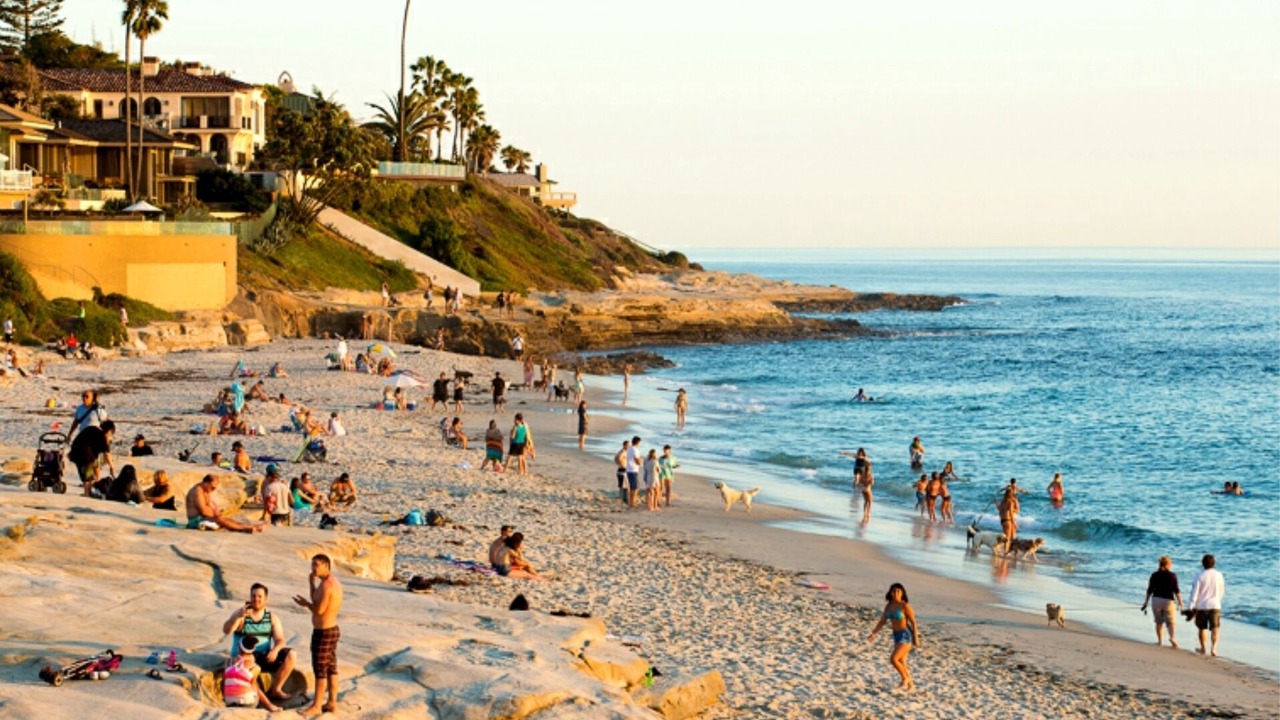 Photo of Others in Beach Barber Tract
