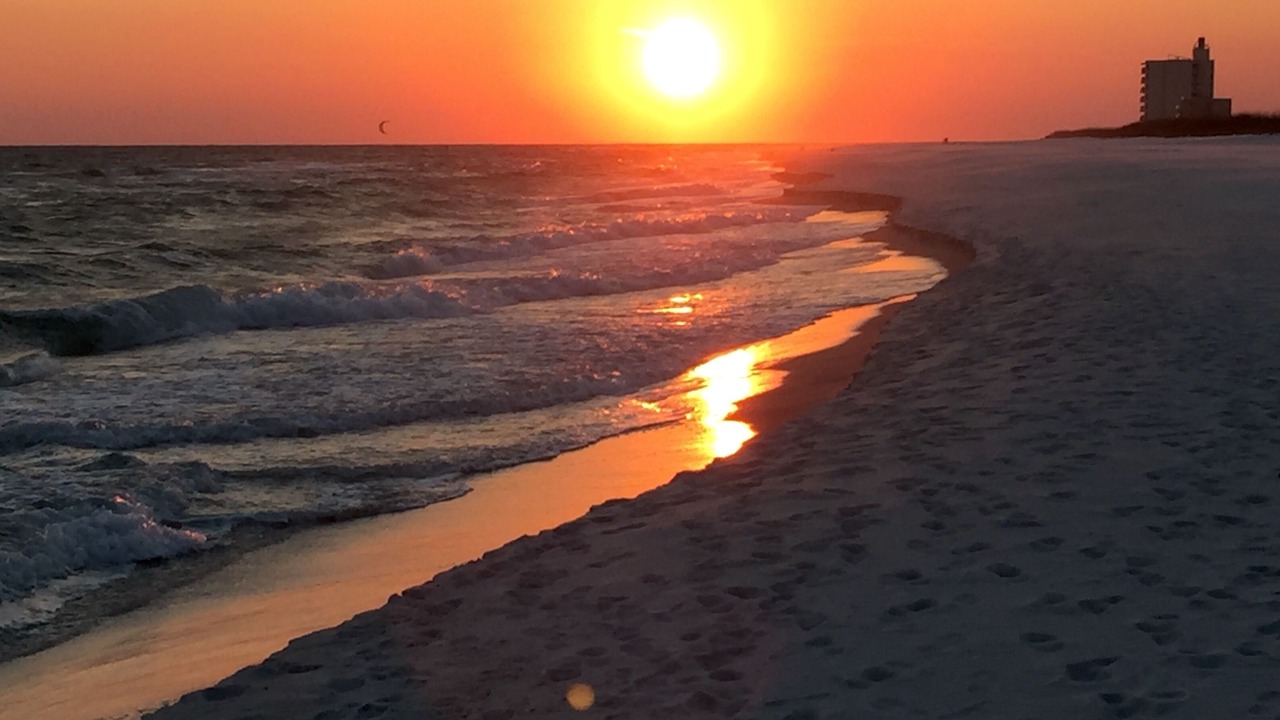 Photo of Others in Pensacola