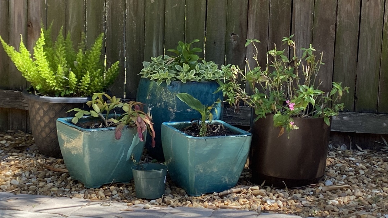 Photo of Outdoor in Indian Beach Sapphire Shores
