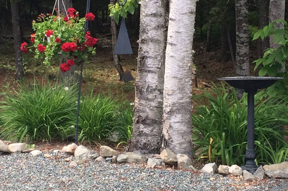 Photo of Outdoor in Bar Harbor