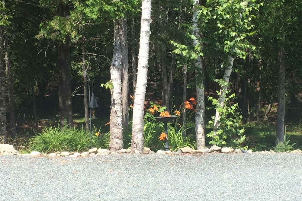 Photo of Outdoor in Bar Harbor