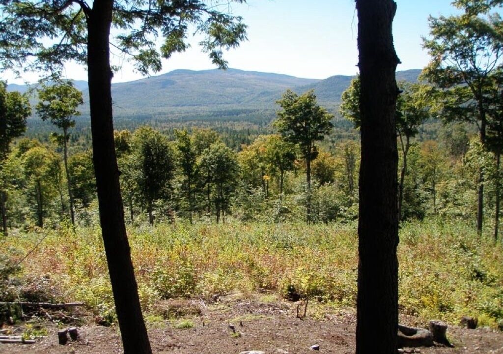 Photo of Outdoor in Sunday River Area