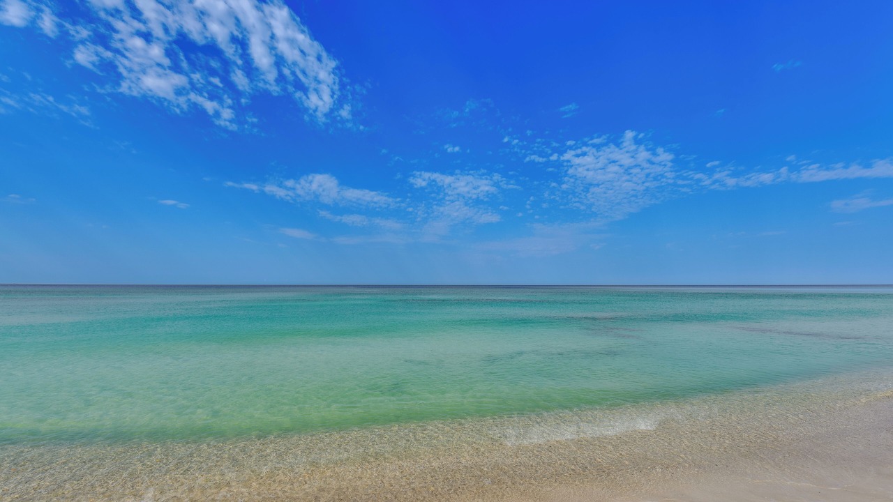 Photo of Others in Holiday Beach