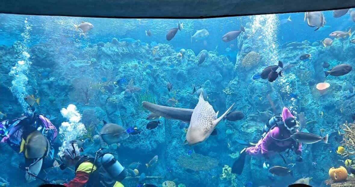 Photo of Others in Harbor