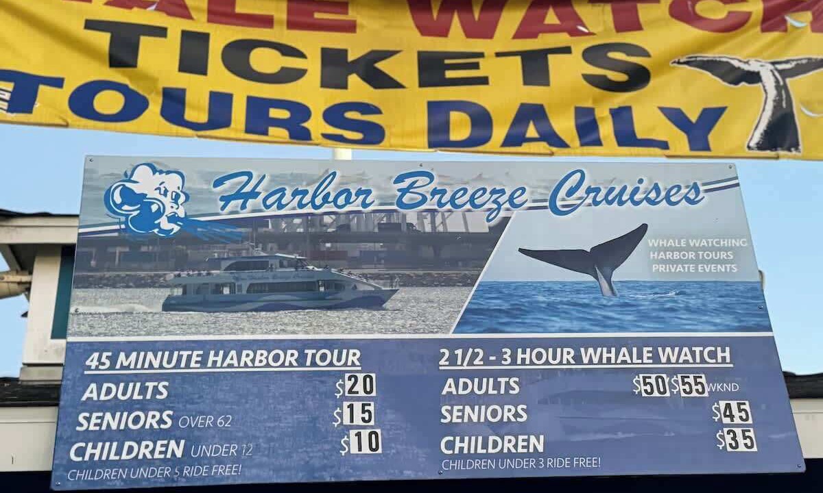 Photo of Others in Harbor