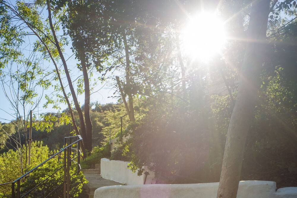 Photo of Outdoor in The Flats
