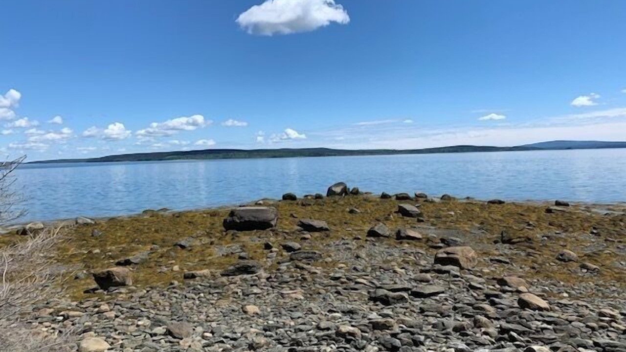 Photo of Outdoor in North Brooklin